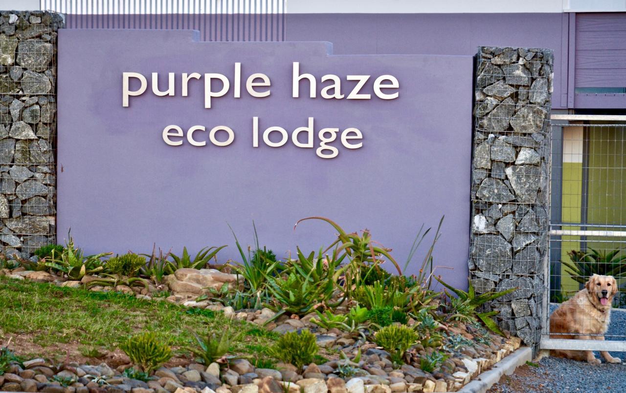 Purple Haze Eco Lodge Chintsa Exteriér fotografie